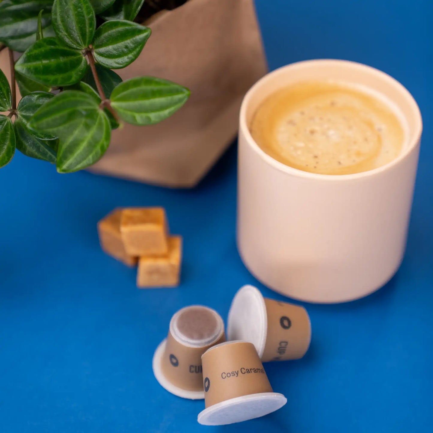 Cosy Caramel