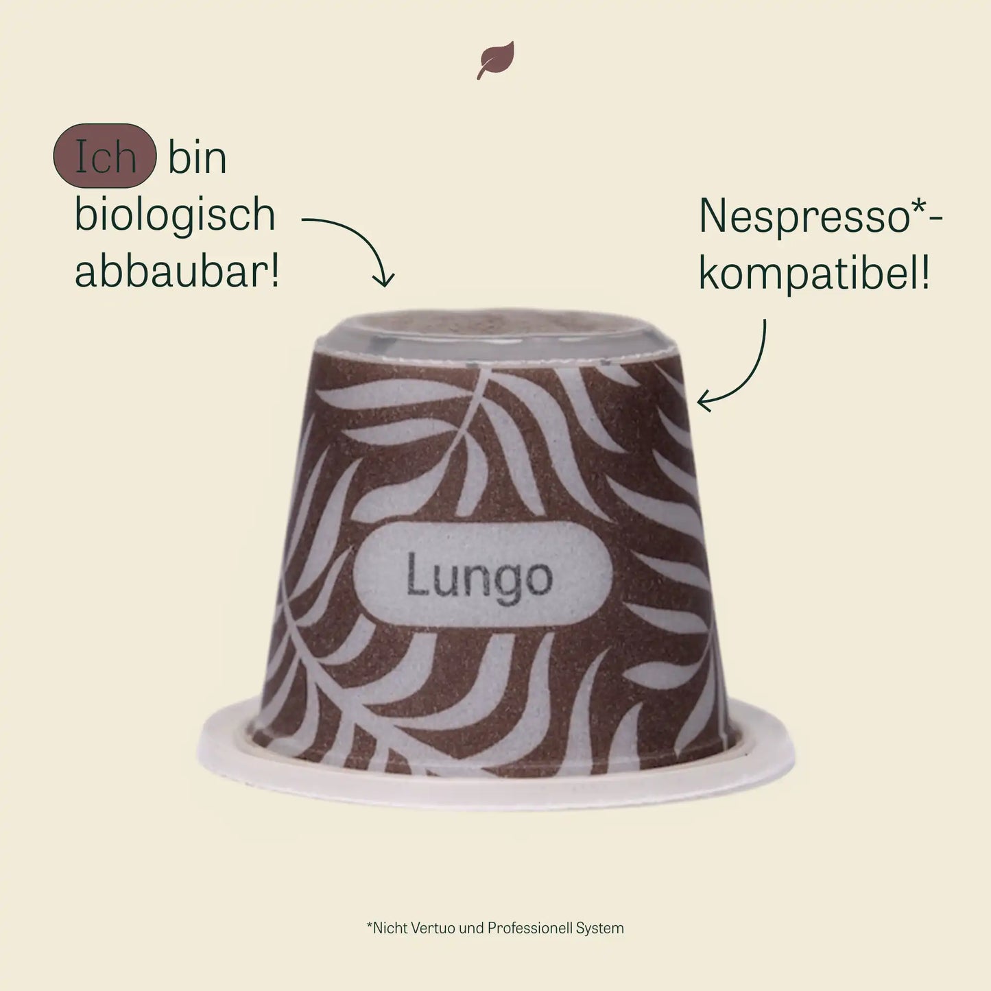 Lungo