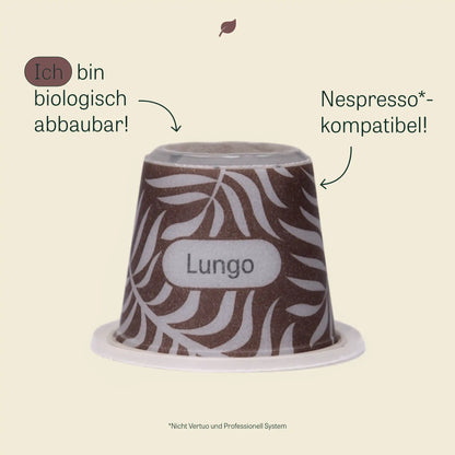 Lungo